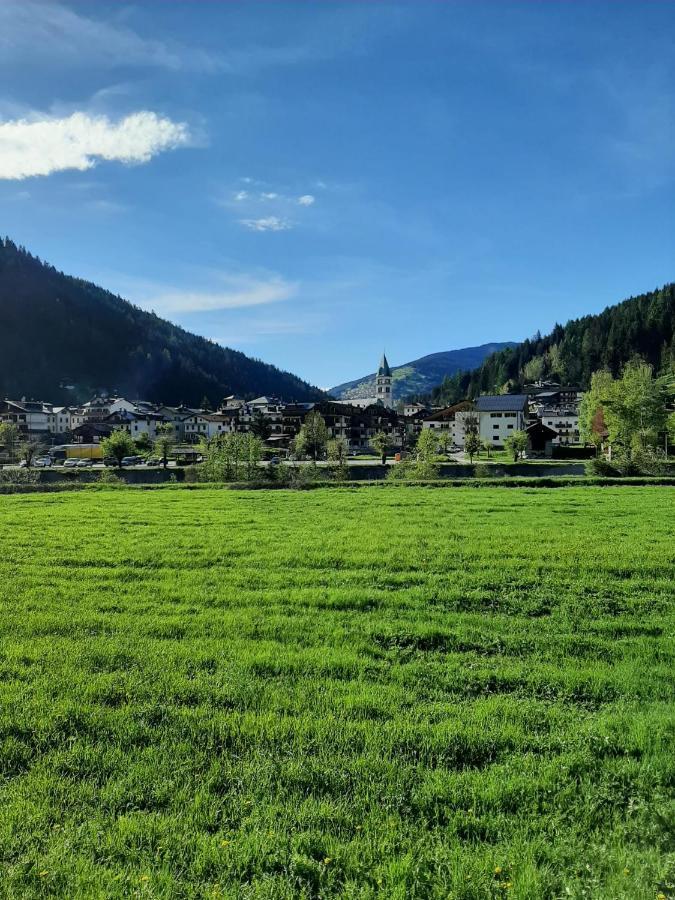 Ferienwohnung Hirsch Haus Santo Stefano Di Cadore Exterior foto